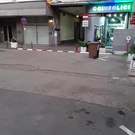 Cozy In Downtown Apartment